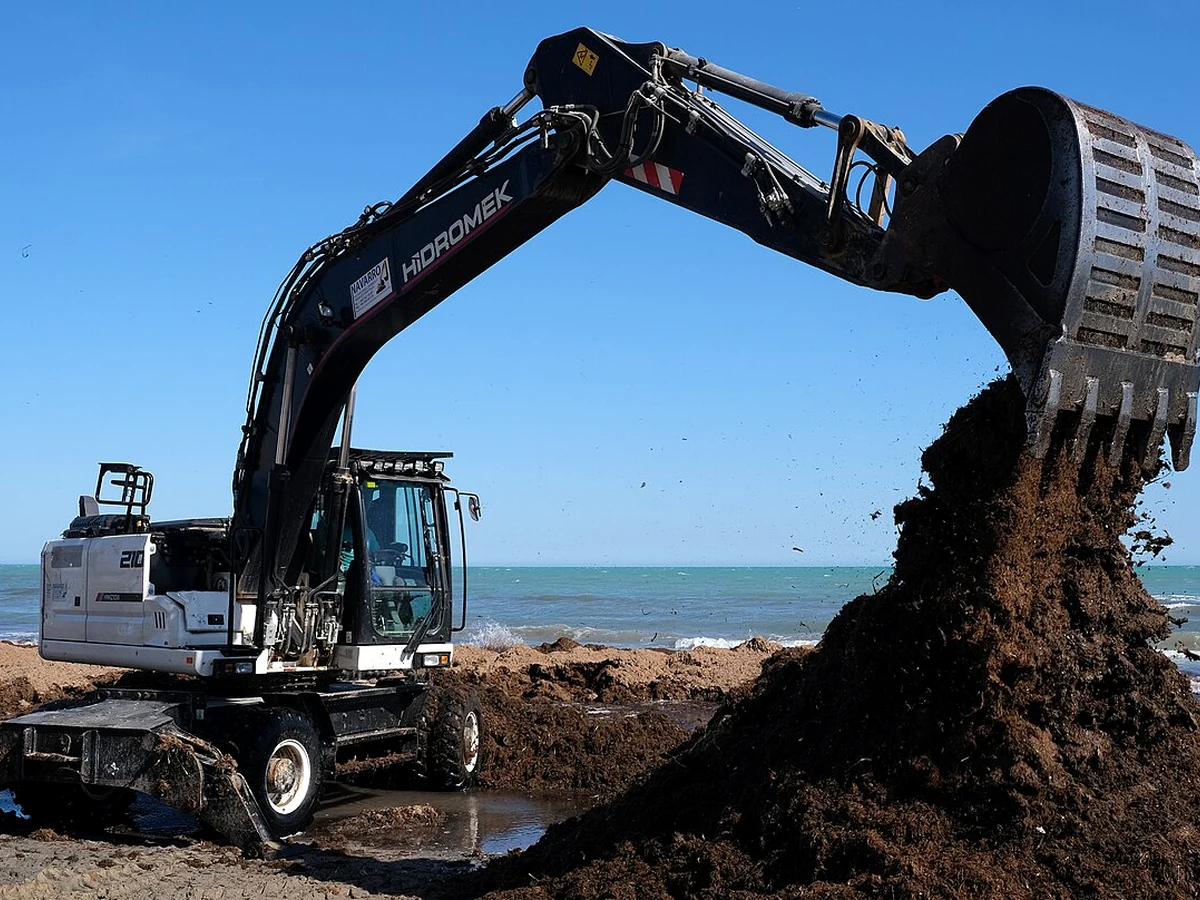 Servicio de excavación y movimiento de tierra