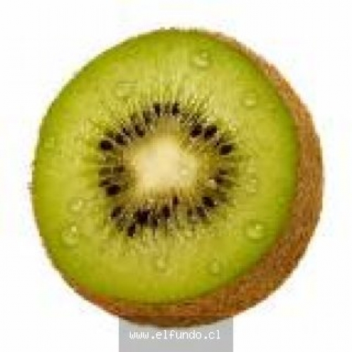 Kiwi Premium