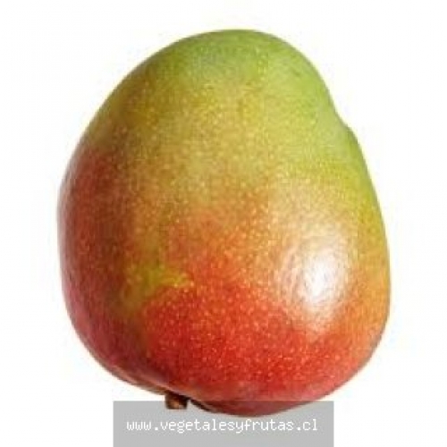 Mangos Caja 4 Kgs.