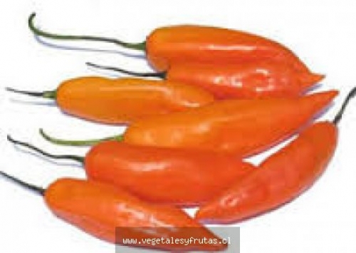 Aji Amarillo Fresco