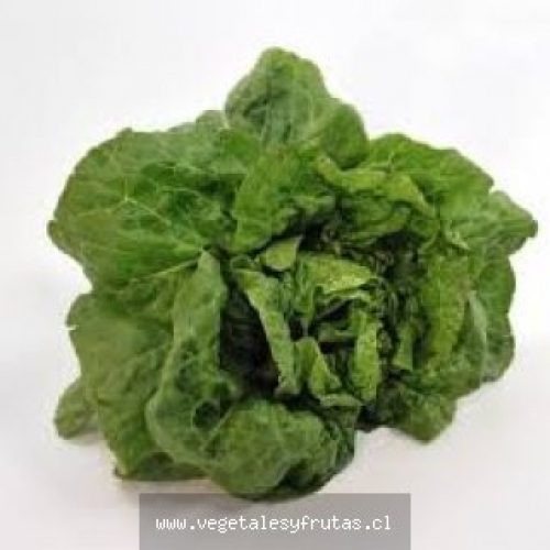 Lechuga Milanesa
