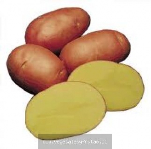 Papas