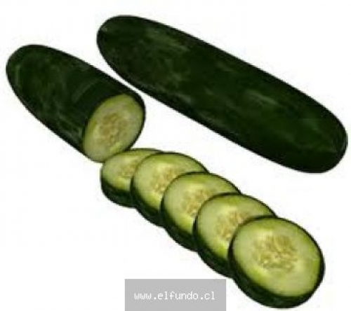 Pepinos De Ensalada
