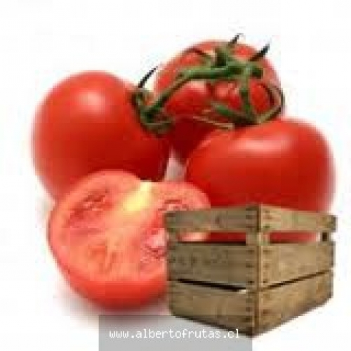Tomates